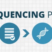 the genome sequencing process