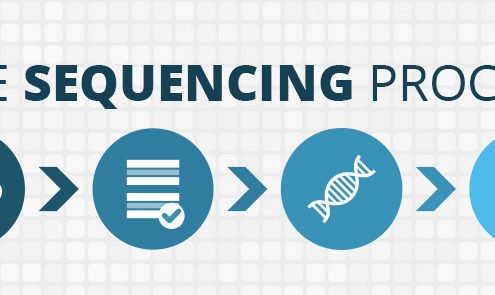 the genome sequencing process