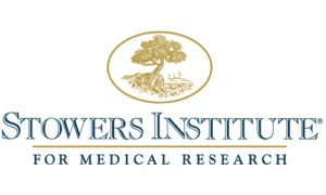 stowers institute for medical research