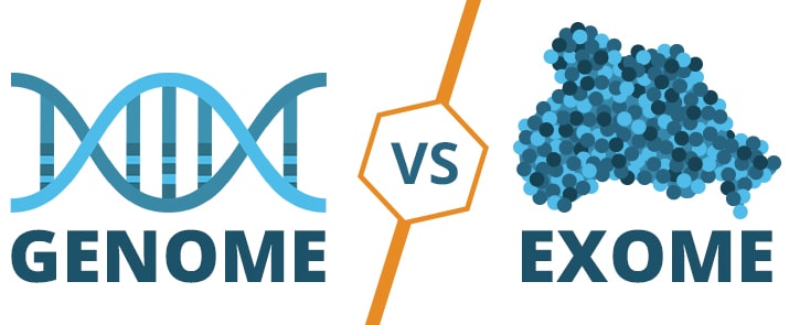 genome vs exome
