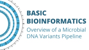 Basic bioinformatics: Overview of a Microbial DNA Variants Pipeline