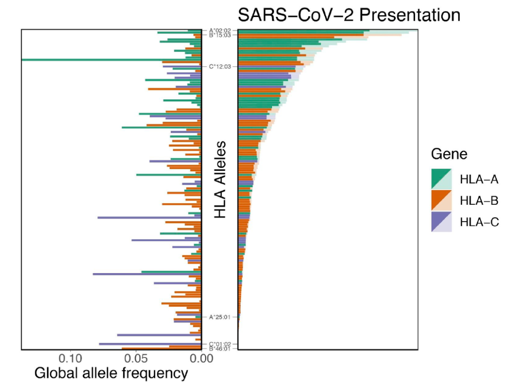 Fig. 1 SARS-CoV-2 Presentation
