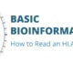 Basic Bioinformatics: How to Read an HLA Report